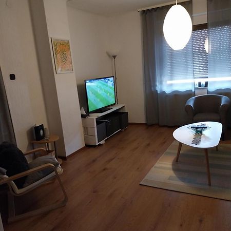 Ferienwohnung Manta ディリンゲン・アン・デア・ザール エクステリア 写真